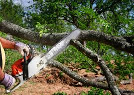 Best Lawn Pest Prevention  in Cross Mountain, TX