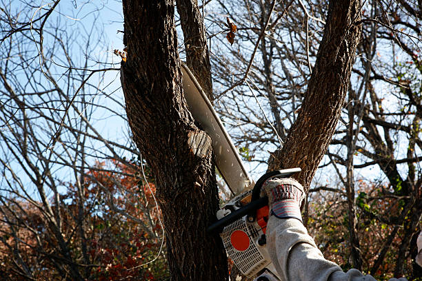 Landscape Design and Installation in Cross Mountain, TX